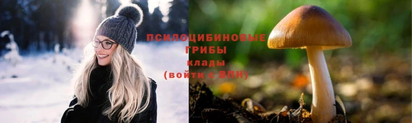 mdpv Коряжма