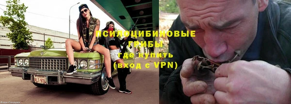 сатива Зеленодольск