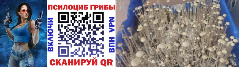это формула  Вяземский  Галлюциногенные грибы Psilocybe 